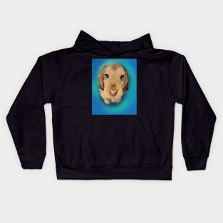 Winnie Kids Hoodie